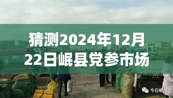 探秘岷县党参市场，友情与预测的日常趣事，预测2024年党参实时价格