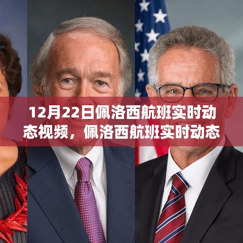 佩洛西航班深度评测与实时动态追踪，揭秘航班背后的故事