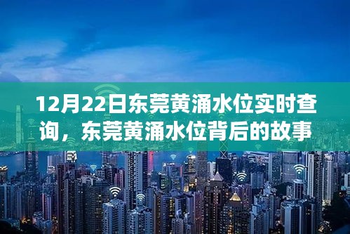 衣不重采 第3页