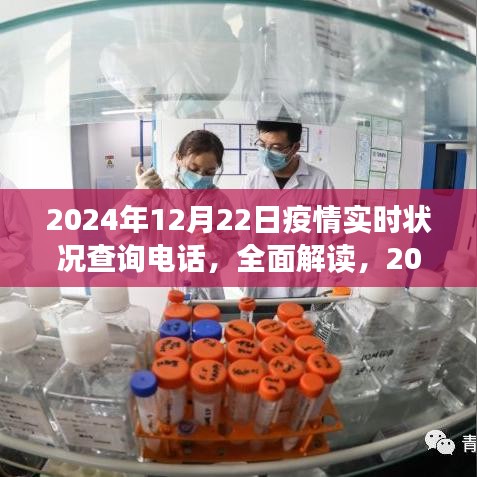 2024年12月22日疫情实时状况查询电话全面解读与深度评测