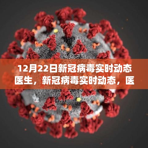医生视角下的新冠病毒实时动态，深度剖析与最新进展（12月22日）