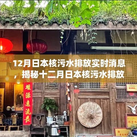 揭秘日本核污水排放最新动态与探寻独特小店之旅