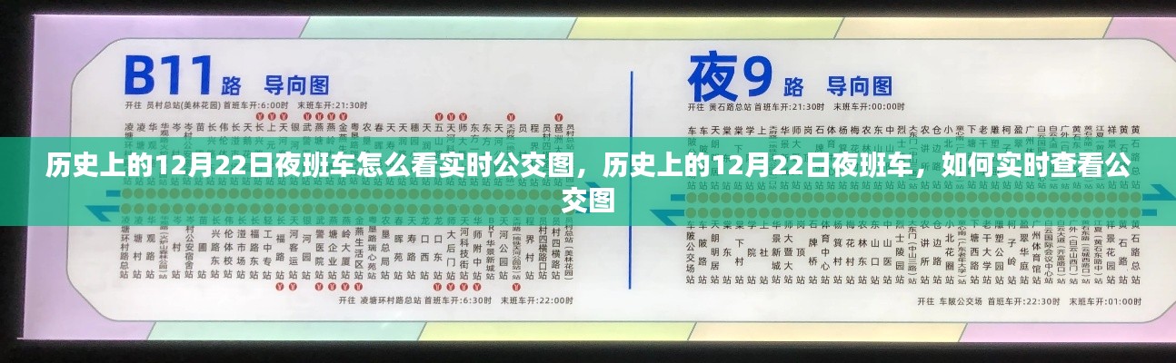 如何实时查看历史上12月22日夜班车公交图动态？
