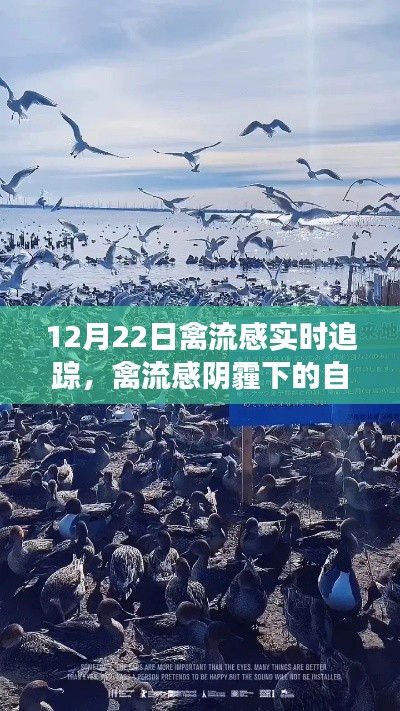 禽流感阴霾下的自然之旅，寻找内心的宁静与美景奇迹的实时追踪