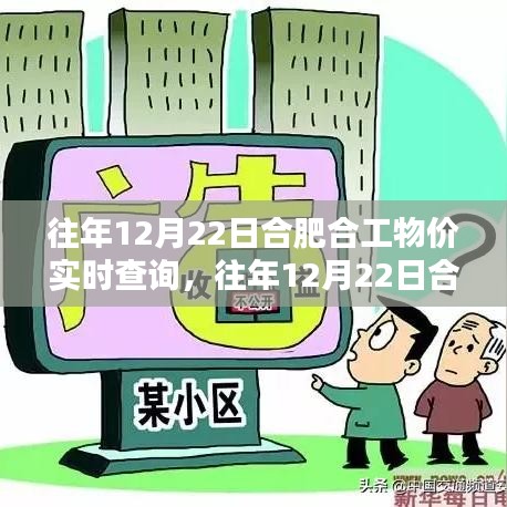 往年12月22日合肥合工物价实时查询，洞悉物价动态，精准掌握生活成本