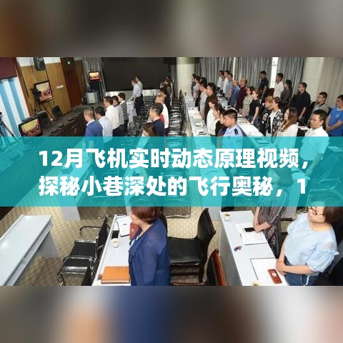 探秘飞行奥秘，揭秘十二月飞机实时动态原理视频之旅