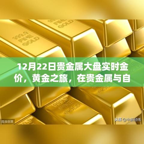 黄金之旅，贵金属市场的实时金价与内心的宁静交响