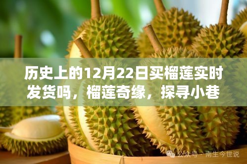 揭秘历史12月22日榴莲速递，探寻特色小店与榴莲奇缘的实时发货之旅
