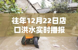 往年12月22日店口洪水实况播报，挑战与应对策略揭秘。
