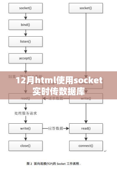 12月使用Socket实现HTML实时数据库传输