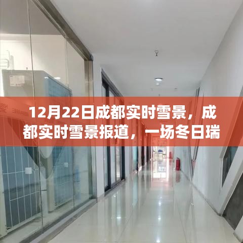 成都冬日瑞雪，实时报道雪景的美丽与魅力