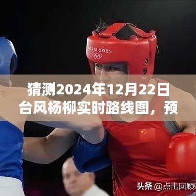 台风杨柳路径预测，分析2024年12月22日实时路线图
