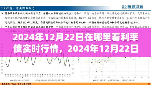 详细步骤指南，如何查看利率债实时行情（以2024年12月22日为例）