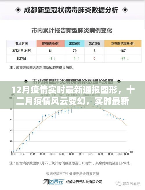 12月疫情风云变幻，实时最新通报图形深度解析与通报
