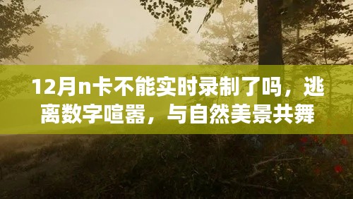 逃离数字喧嚣，探索自然美景的心灵之旅与N卡实时录制问题解析