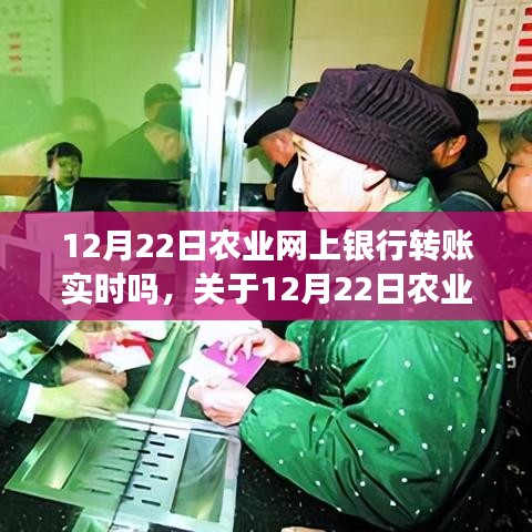 关于农业网上银行在12月22日的转账实时到账详解