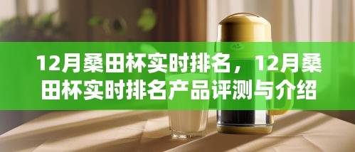 12月桑田杯实时排名及热门产品评测与介绍