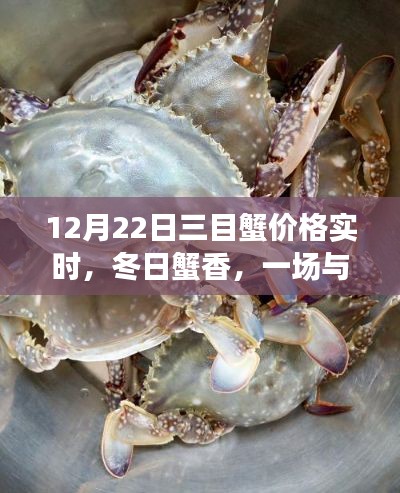 冬日蟹香盛宴，12月22日三目蟹价格实时播报