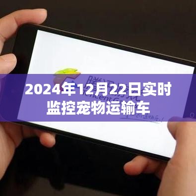 宠物运输车实时监控系统上线，保障宠物安全运输