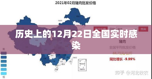 历史上的大事件，全国实时感染情况揭秘