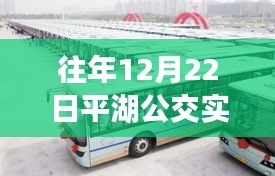平湖公交实时查询系统，历年12月22日出行参考