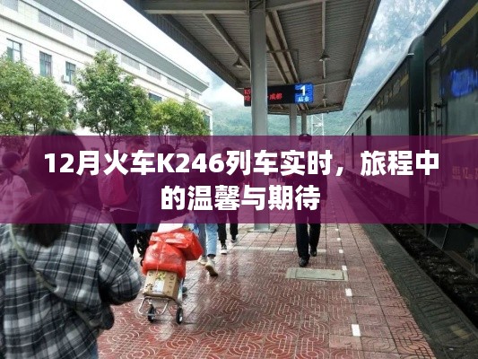 K246列车实时动态，旅程中的温馨与期待