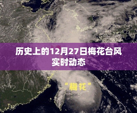 梅花台风历史动态回顾，实时更新梅花台风的轨迹与影响