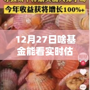 12月27日实时查看基金估值，投资机会一网打尽