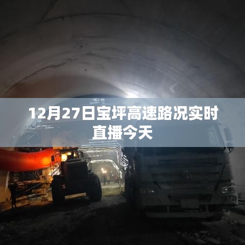 铺张扬厉 第3页