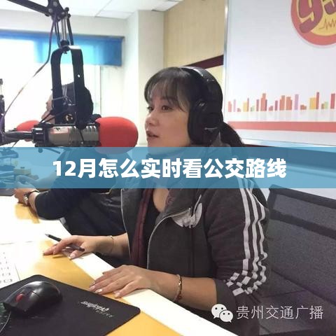 实时查看公交路线指南，12月出行必备