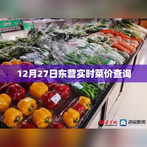 东营实时菜价查询，最新菜价信息尽在掌握