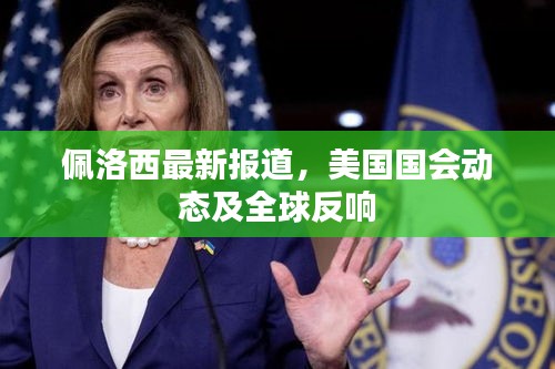 佩洛西最新动态引发全球关注与反响。