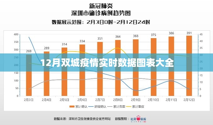 双城疫情实时追踪，图表解析十二月数据