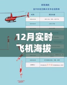 实时飞机海拔测量软件，飞行监控新时代的利器