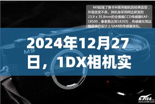 2024年外拍灯与相机实时模式，摄影新体验