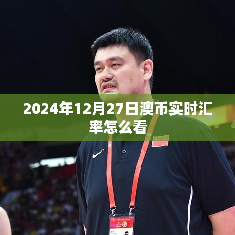 澳币实时汇率查询指南，掌握汇率走势