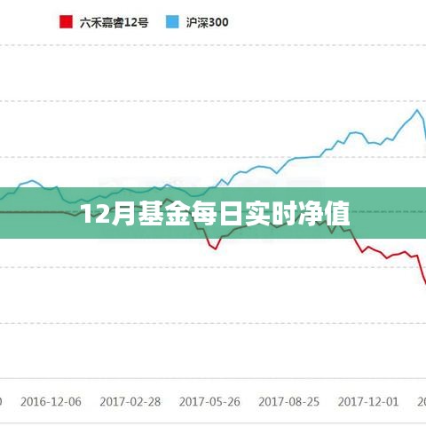 基金每日实时净值查询，最新更新12月数据