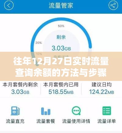 往年12月27日实时流量查询余额攻略