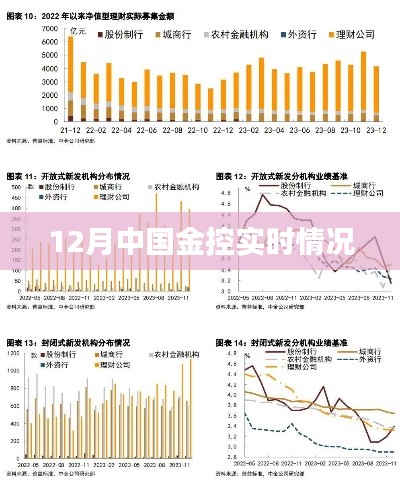 中国金控行业十二月最新动态分析