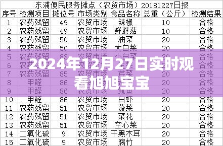 朝乾夕惕 第4页