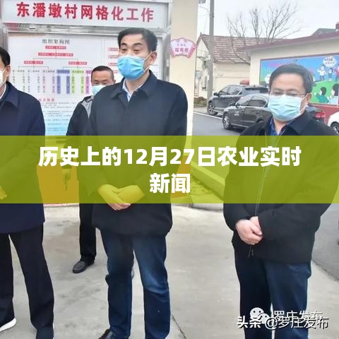 12月27日农业要闻速递，聚焦历史农业实时新闻