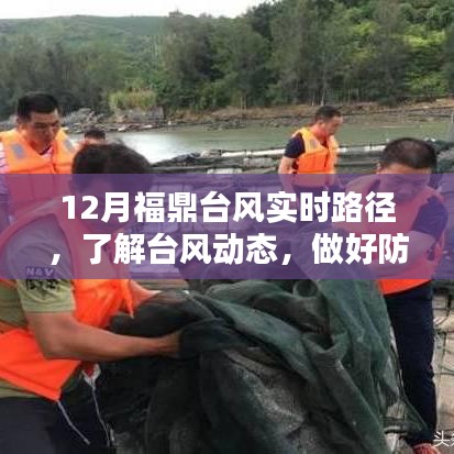 福鼎台风最新动态，实时路径与防御准备