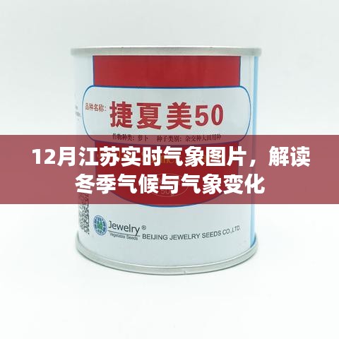 翰飞戾天 第3页