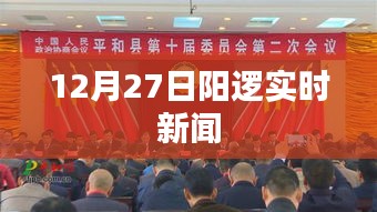 阳逻最新实时新闻报道，12月27日更新