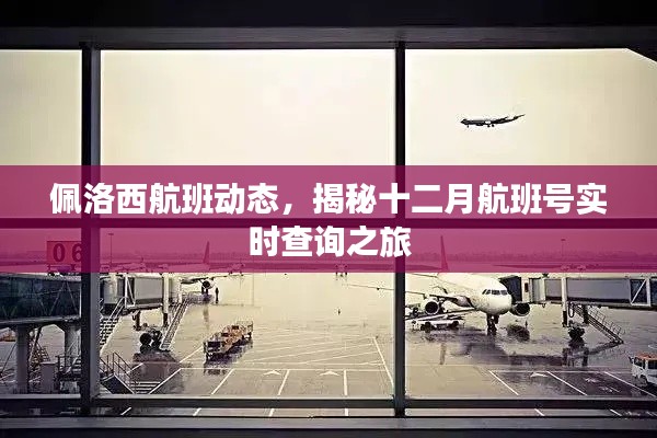 揭秘佩洛西航班动态，十二月航班号实时查询之旅