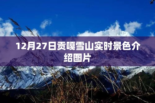 指手画脚 第3页