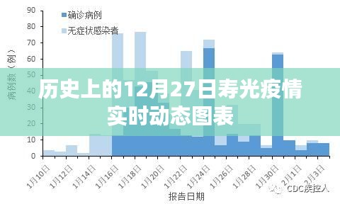 寿光疫情实时动态图表，历史数据解析
