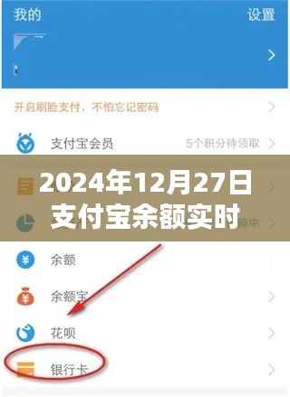 支付宝余额实时截图图片（日期标注）