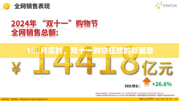 双十一购物狂欢新篇章，实时交易揭秘