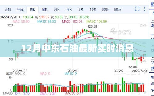 中东石油最新实时消息更新，12月动态概览
